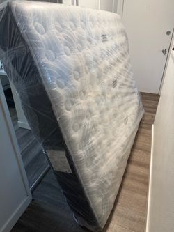 Sealy Queen Mattress