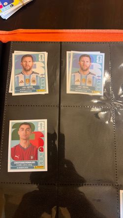 Panini World Cup Stickers