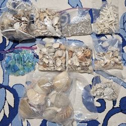 Lot of Seashells, Coral, Starfish, & Seaglass