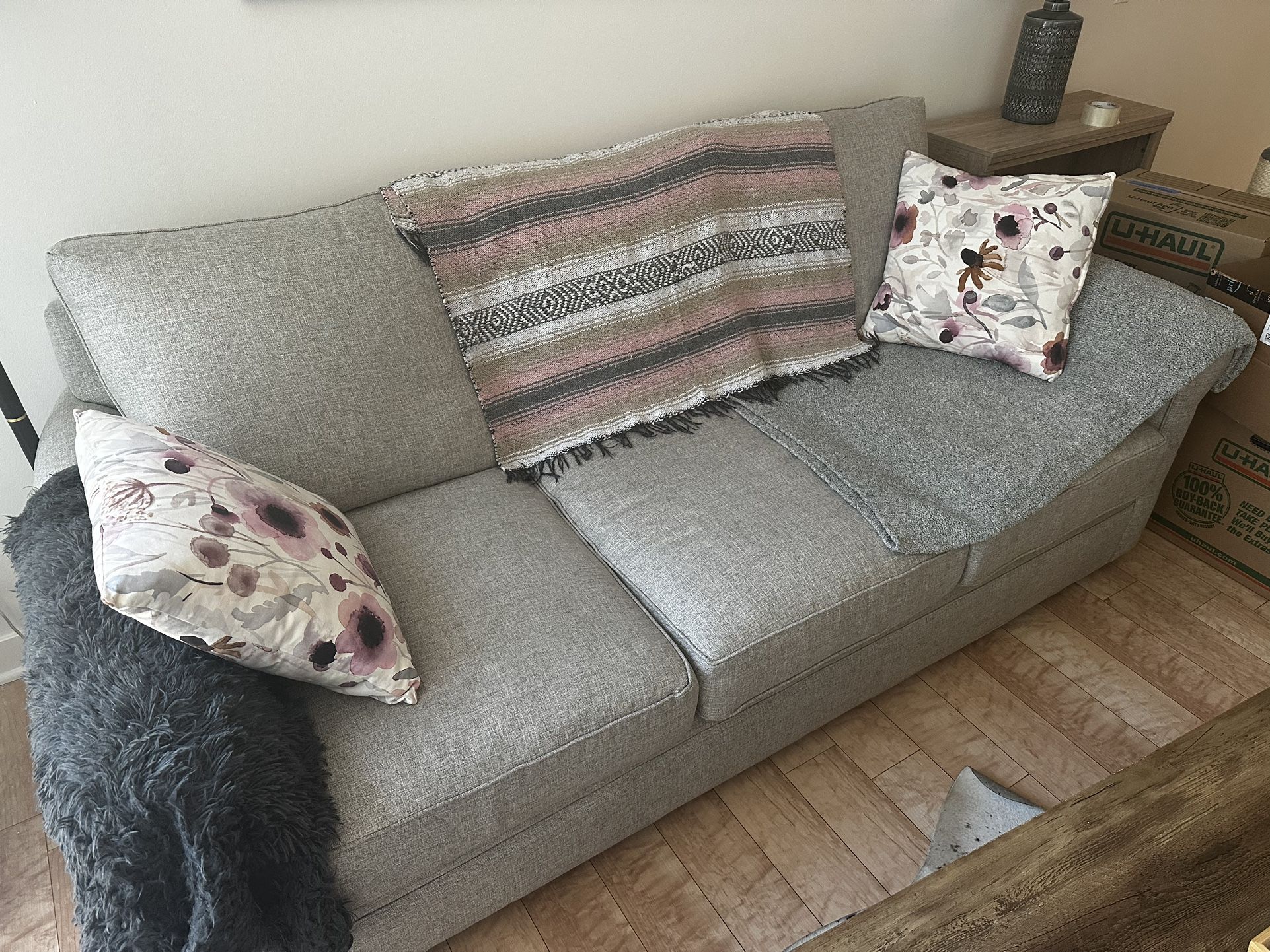Loveseat Pull Out Couch