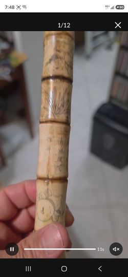 Brush or máo bǐ in Chinese. These brushes are used for traditional Chinese calligraphy and painting styles l