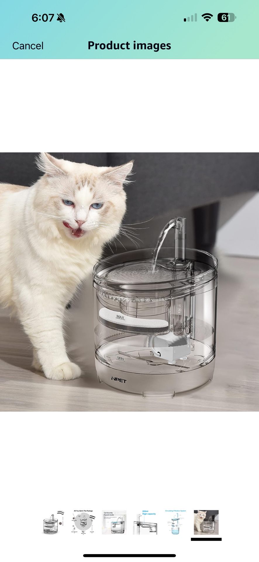 Cat Or Small Dog Water Fountain 