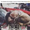 Maxito