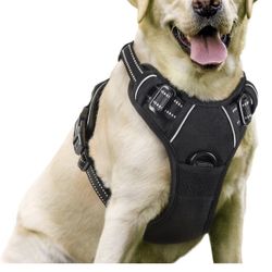 Dog Harness Size L And  Size XL