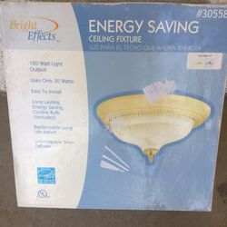 Ceiling Light Fixture