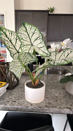 Artificial Plants For Indoor