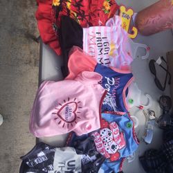Male And Female Dog Clothes