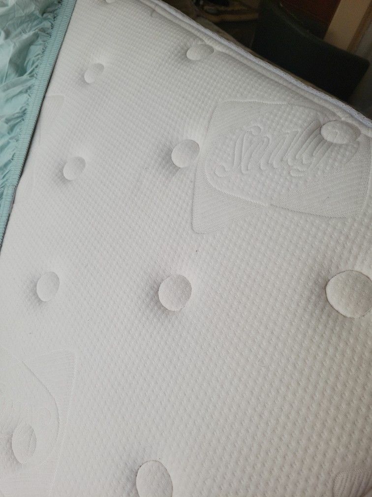 Queen Size Matress and A Box Spring 