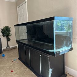 125 Gallon Tank For Reptile 