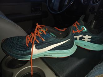 Nike Air zoom Pegasus