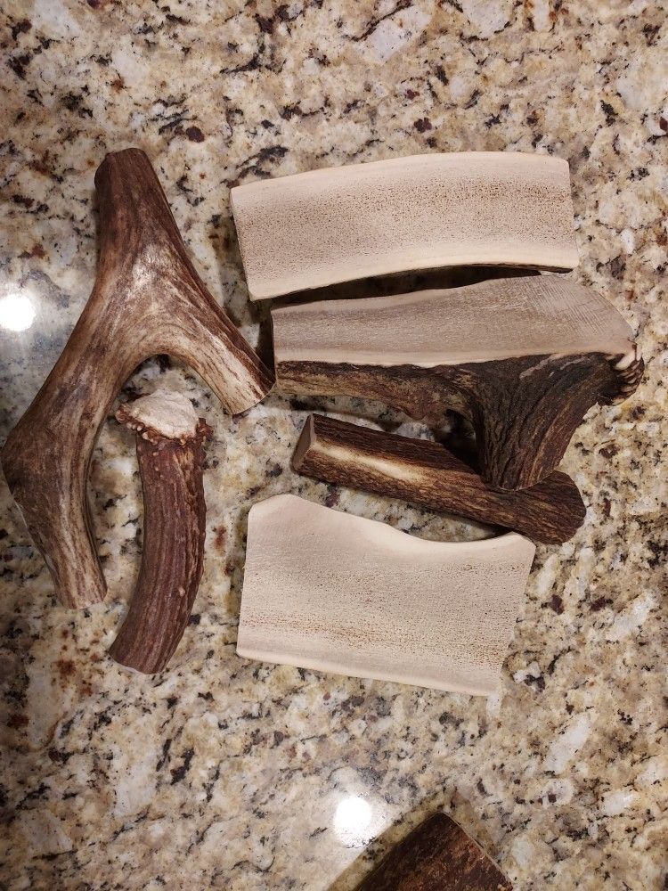 Dog Treats Elk And Deer Antlers