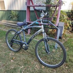Geared Beach Cruiser