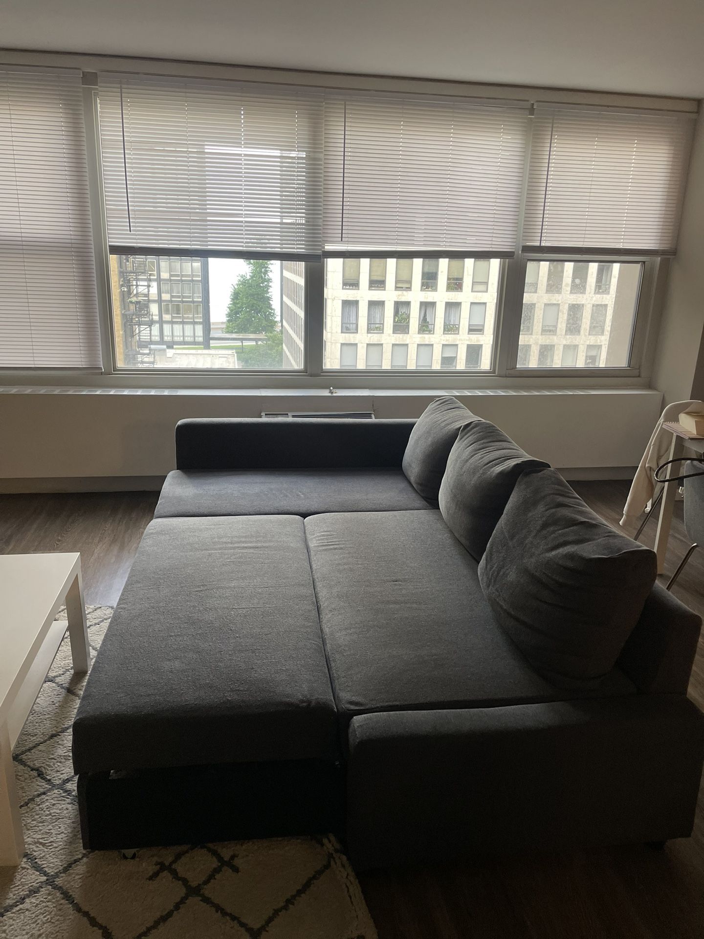 Sleeper Sectional
