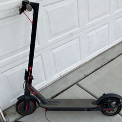 Electric Scooter 