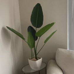 Large Fake Plant 