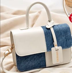White and Blue Two-Tone Mini Handbag