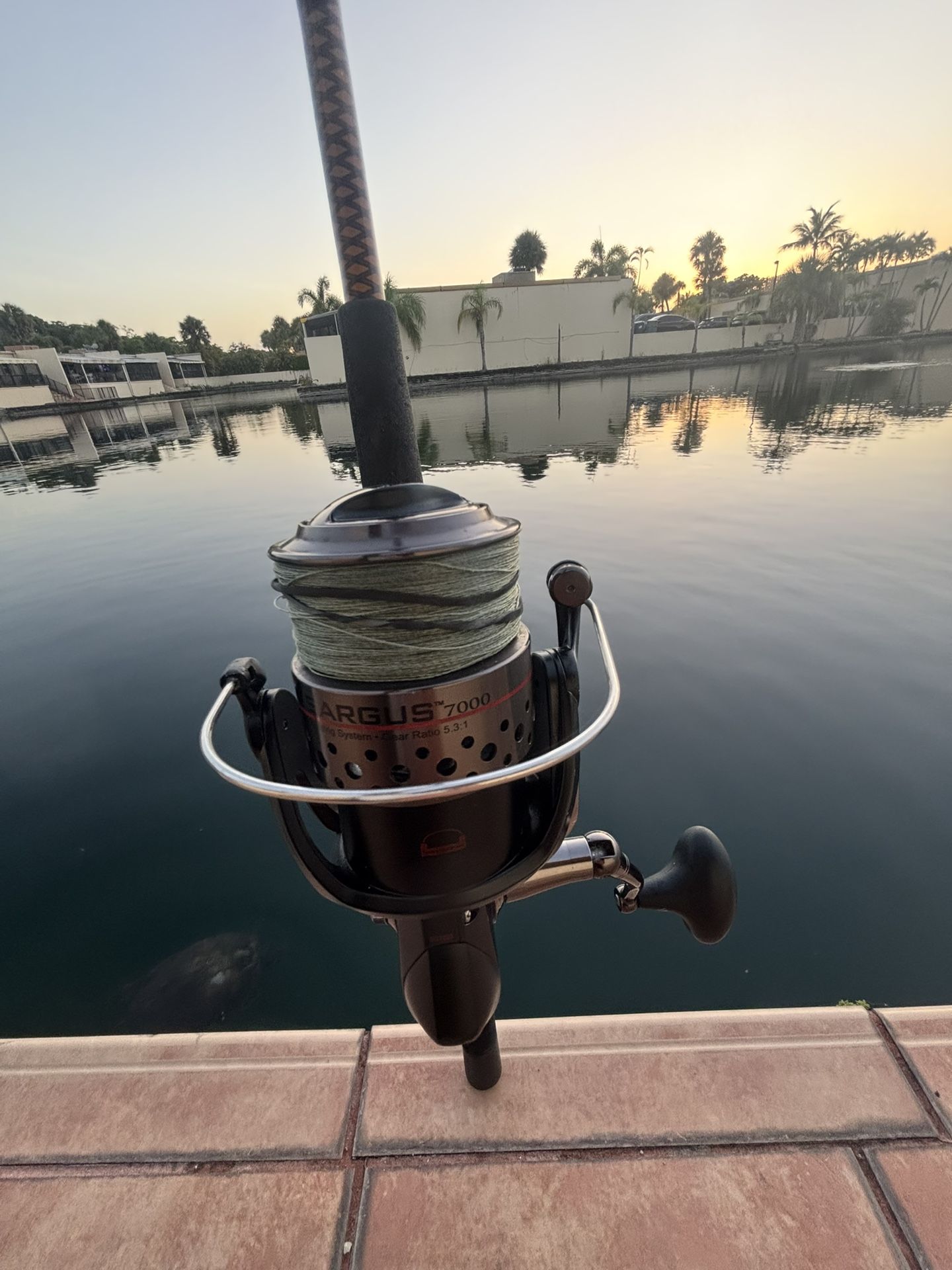 Preowned Penn Sargus 7000 Reel with Braid Line & Ugly Stik 6’6” 10 25Lb Rod 🔥