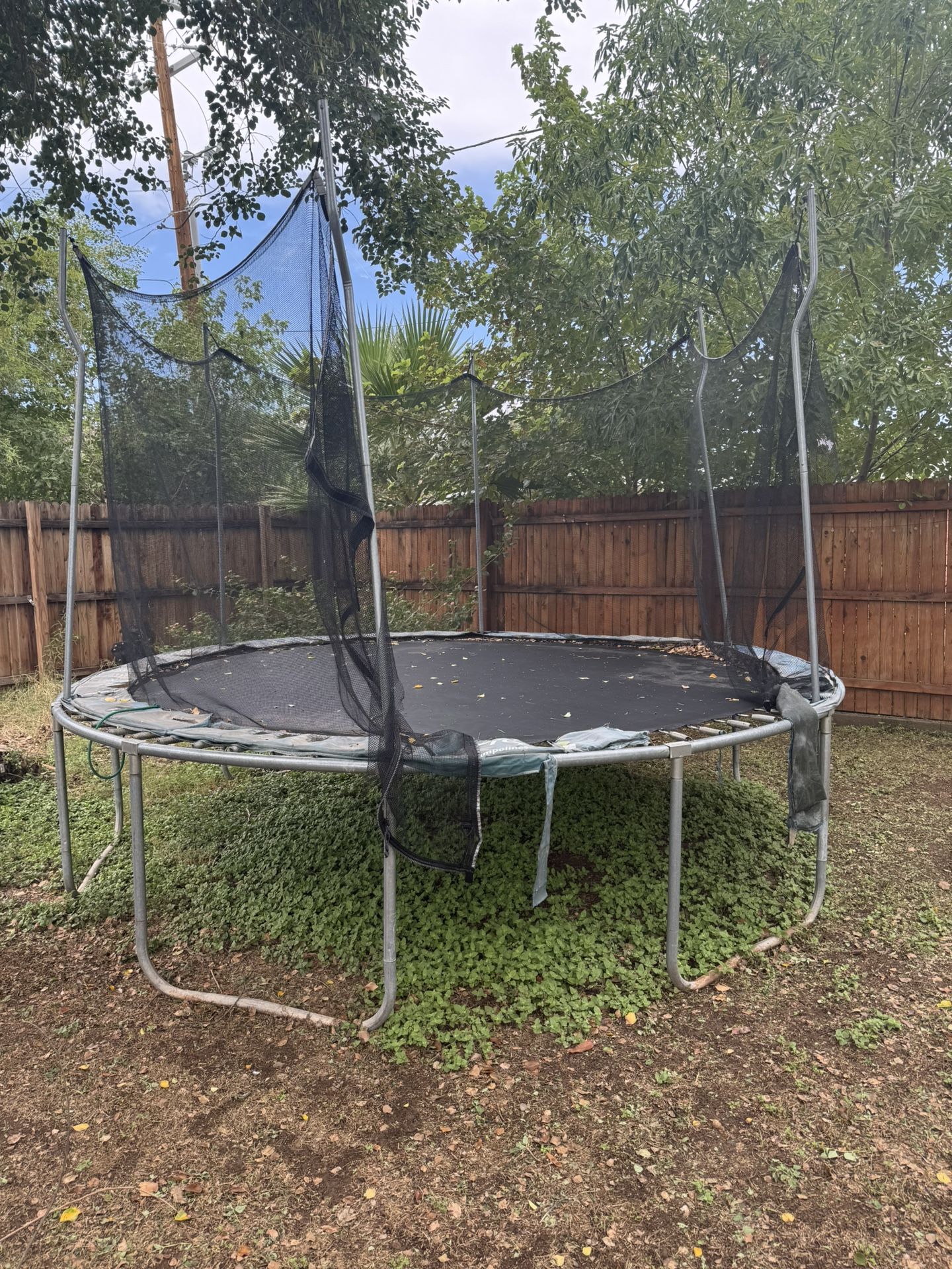 Trampoline 