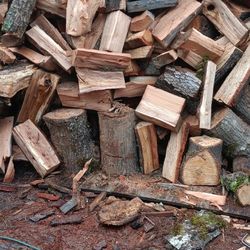 Oak Firewood