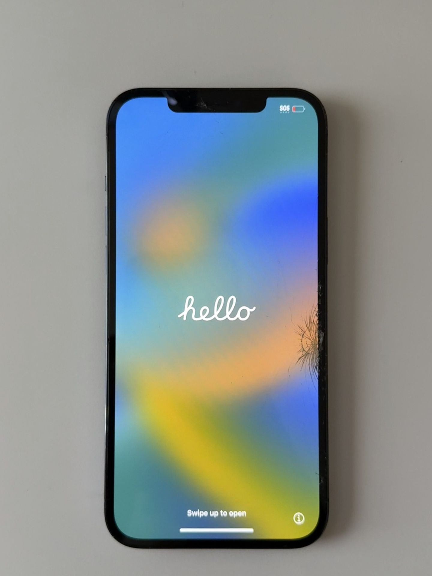 iPhone 12 Pro Max (256GB)