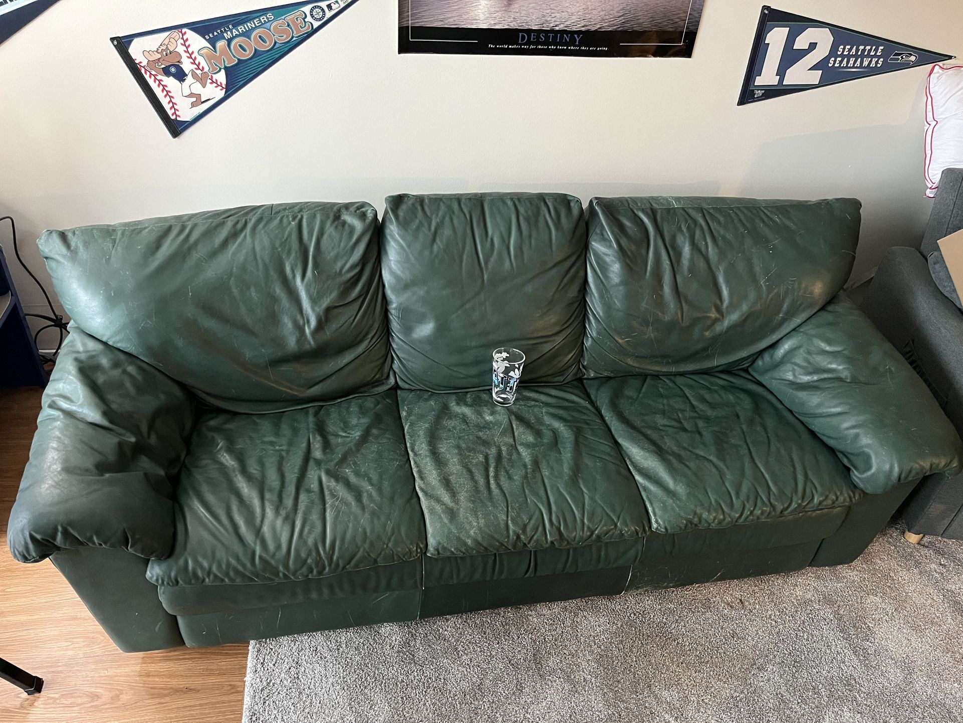 Green Leather Couch