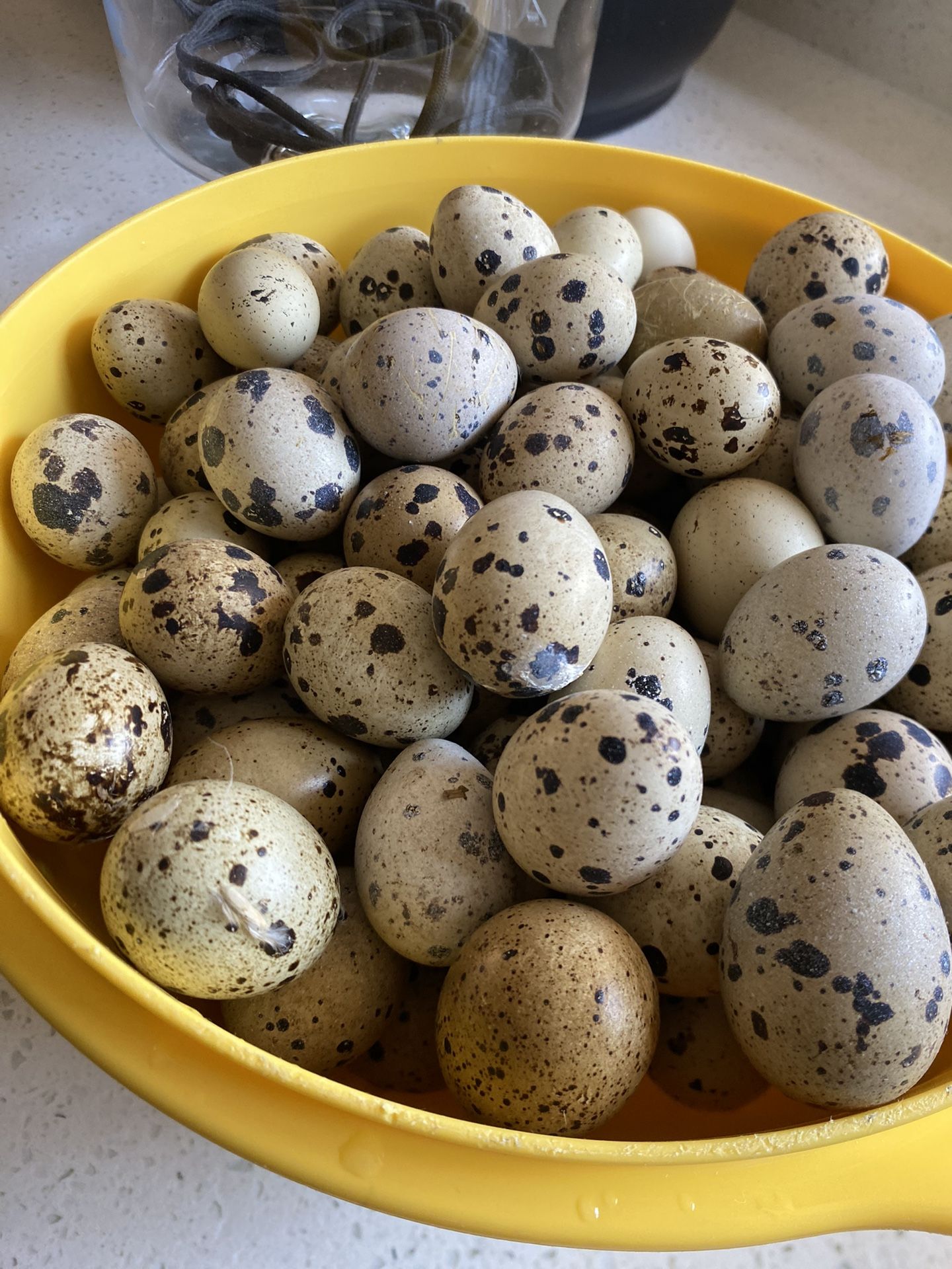 Quail Eggs