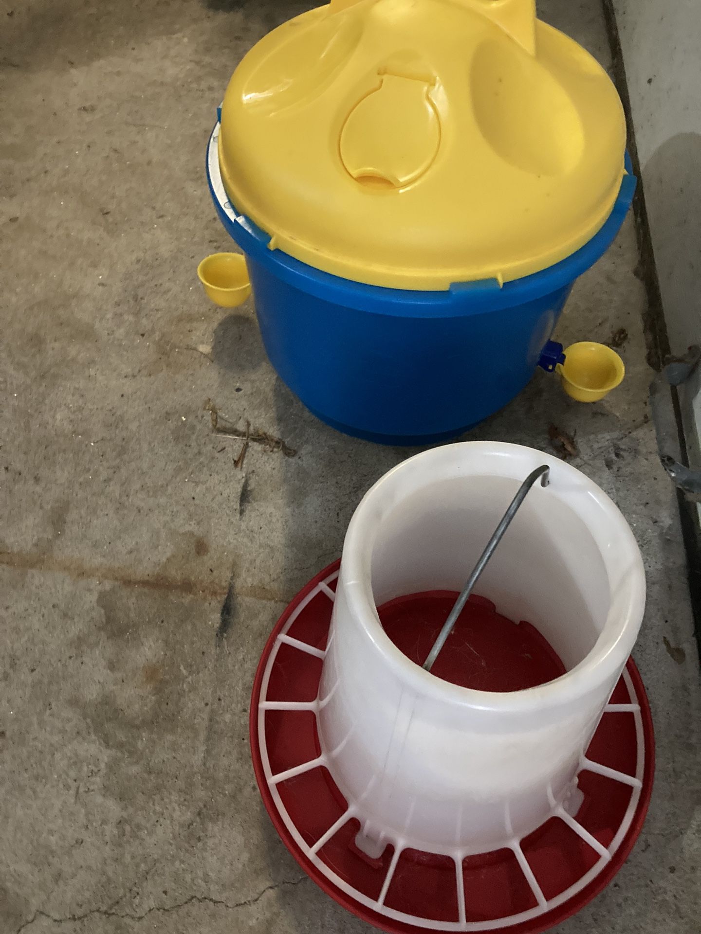 Chicken Supply