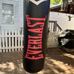 Punching Bag