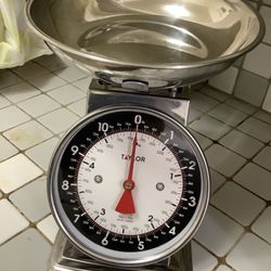Taylor Kitchen Scale