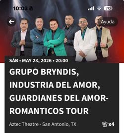 Grupo Bryndis industria del.amr
