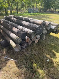 Large Round Timber Logs Bundle