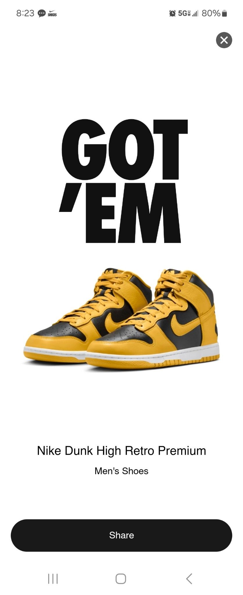 Wu Tang x Nike Dunk High Retro Premium Size 10