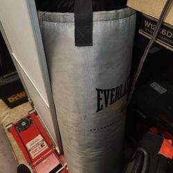 Everlast Punching Bag