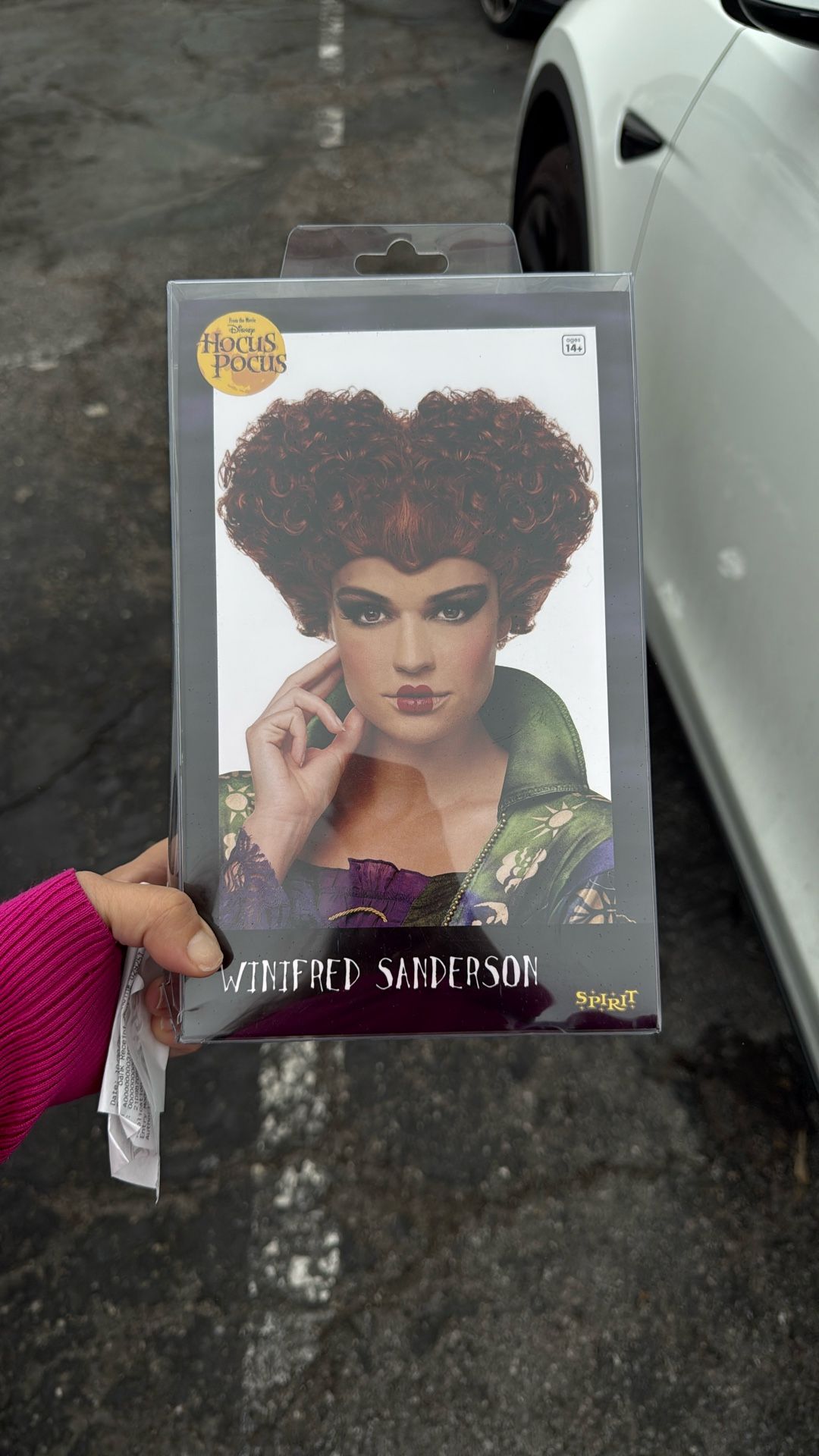 Winfred sanderson Wig, Hocus Pocus