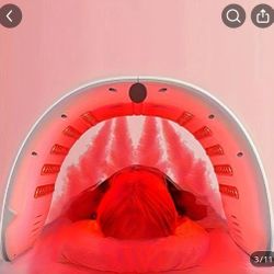 Led Light Therapy Facial Therapy With Mist 