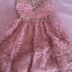 Pink Dress SIZE 1
