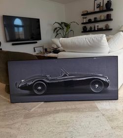 Jaguar art piece