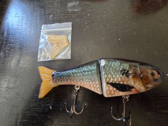 CHOKED BAIT SHAD GLIDE