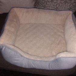 Cat Bed