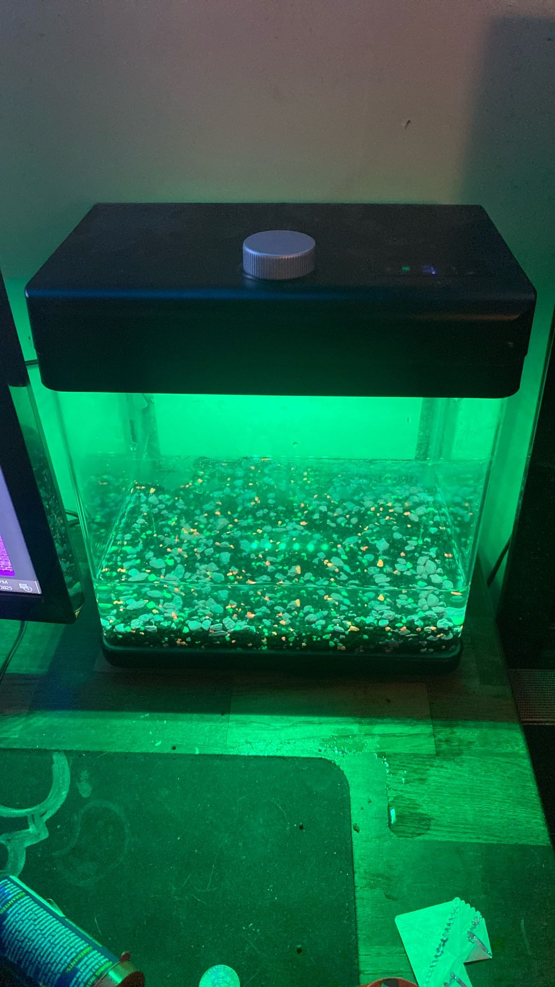 Led Betta Fish Tank