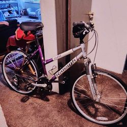 Mens Gaint Bike and a  Ladies Raleigh 