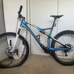 Size XL S-Works Epic WC Ultra-Lightweight Mountain Bike In Rare "Lean" Colorway