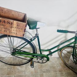 Vintage Glitter Green Schwinn Cruiser