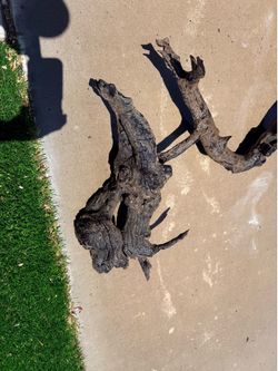 Driftwood For Reptile Or Aquarium For Exhibit