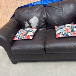 Small Couch 