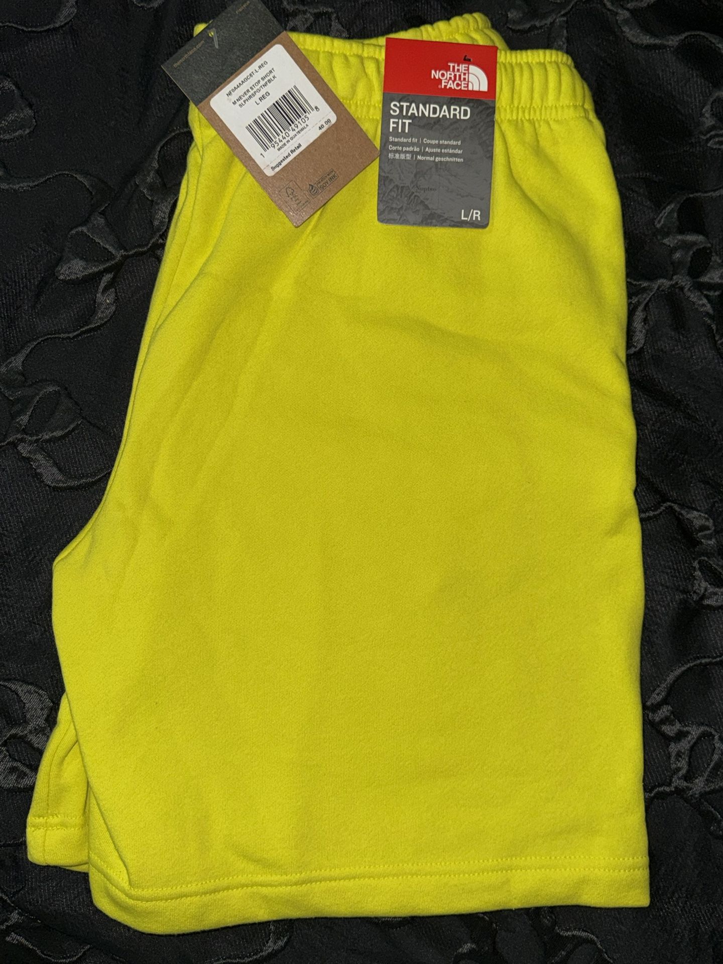 2020 The North Face Men’s Never Stop Shorts Green Size L