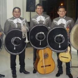 Violin Trompeta Mariachi