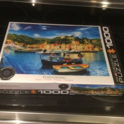 1000 piece puzzle
