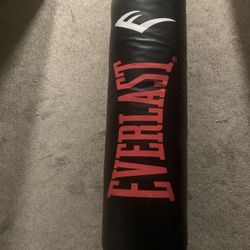 Everlasting Punching Bag
