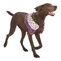 Dog Royal Costume L/XL New
